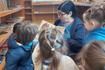 La Morosoli: una biblioteca amiga de las infancias 