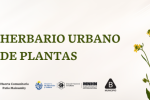 Creación de un herbario colectivo de plantas