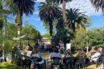 En un espacio al aire libre: una ronda de jóvenes conversan bajo un grupo de palmeras 