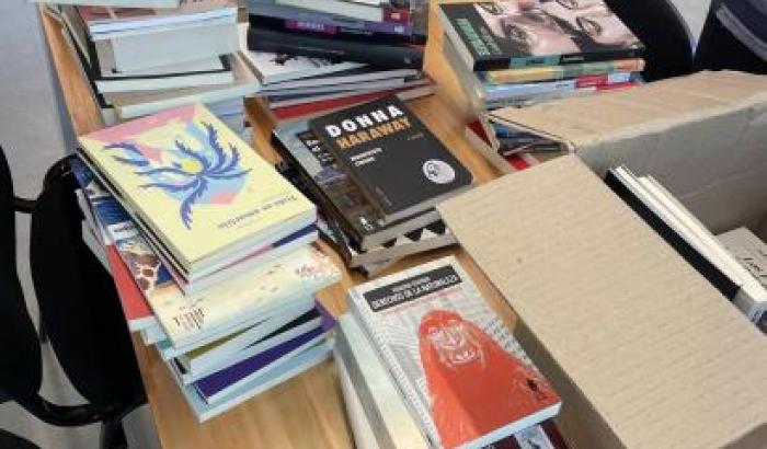Llegaron a la Biblioteca Popular Morosoli más de 100 nuevos libros para enriquecer el catálogo con más narrativa escrita por mujeres así como literatura dedicada al movimiento feminista.
