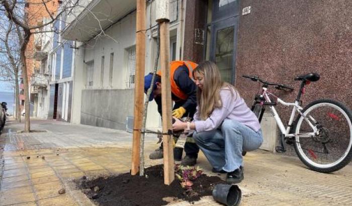 La primera edición de "Plantar es cuidar"  culminó con un total de 351 árboles plantados. 