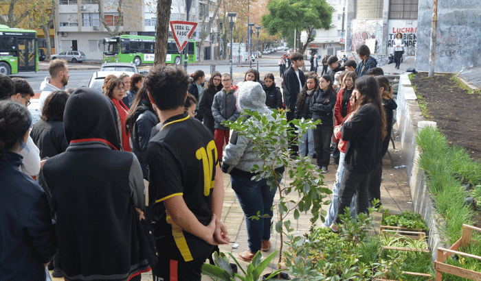 El Municipio B colaboró con la comunidad educativa del Zorrilla en la recuperación paisajística del verde en su fachada. 