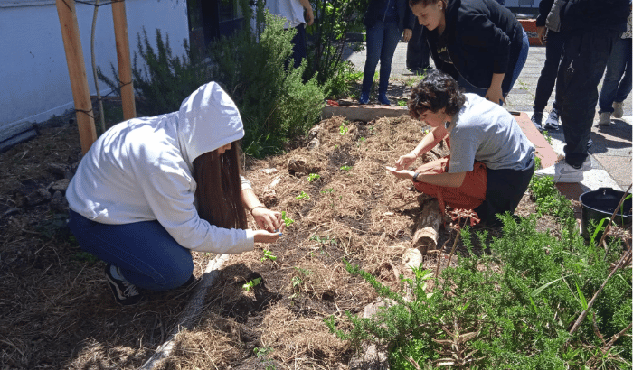 Ciclo de talleres de huerta en el patio del liceo Zorrilla.