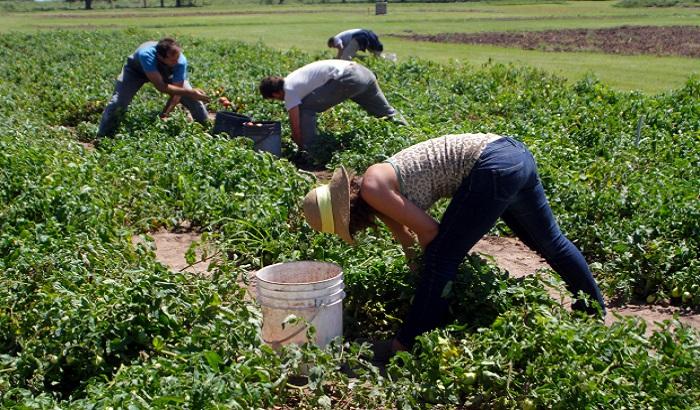 Jornadas de agroecología