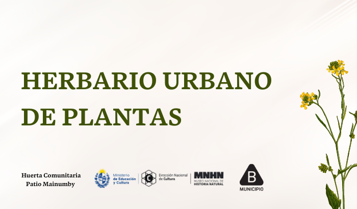 Creación de un herbario colectivo de plantas