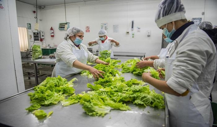 Nuevos curso de manipulación de alimentos