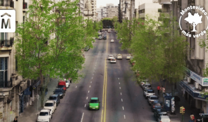 La Intendencia de Montevideo recuperará el arbolado talado durante la Dictadura, que eliminó parte del pulmón verde de la ciudad. Se plantarán 150 árboles y se crearán dos pequeños bosques urbanos.